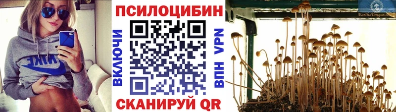 Псилоцибиновые грибы Cubensis  площадка как зайти  Канск  купить  